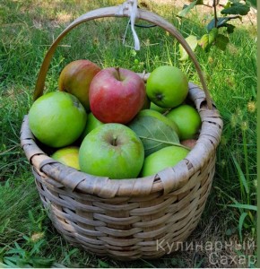 ��������������� ������� �� ������� ���