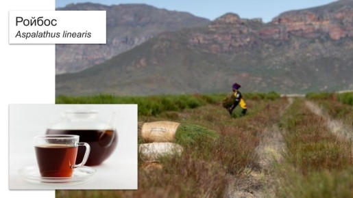 �������� ������ � ������� � ������ ����: ��� �� ������ �� �����