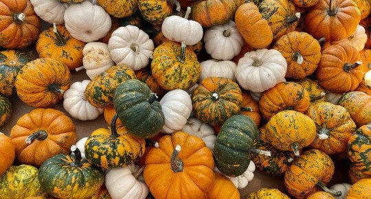 ��������� ����� ����� ��� �������� �����