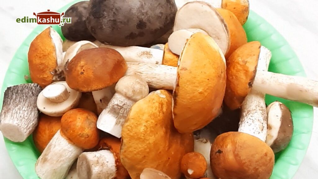 Заморозка грибов на зиму: практичный гид по трём способам и идеям блюд