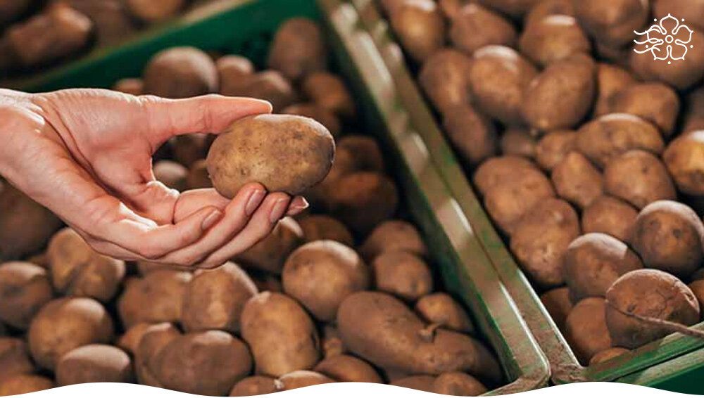 ������� ������� �������� ���������: ��� ��������� ���������� �� �����