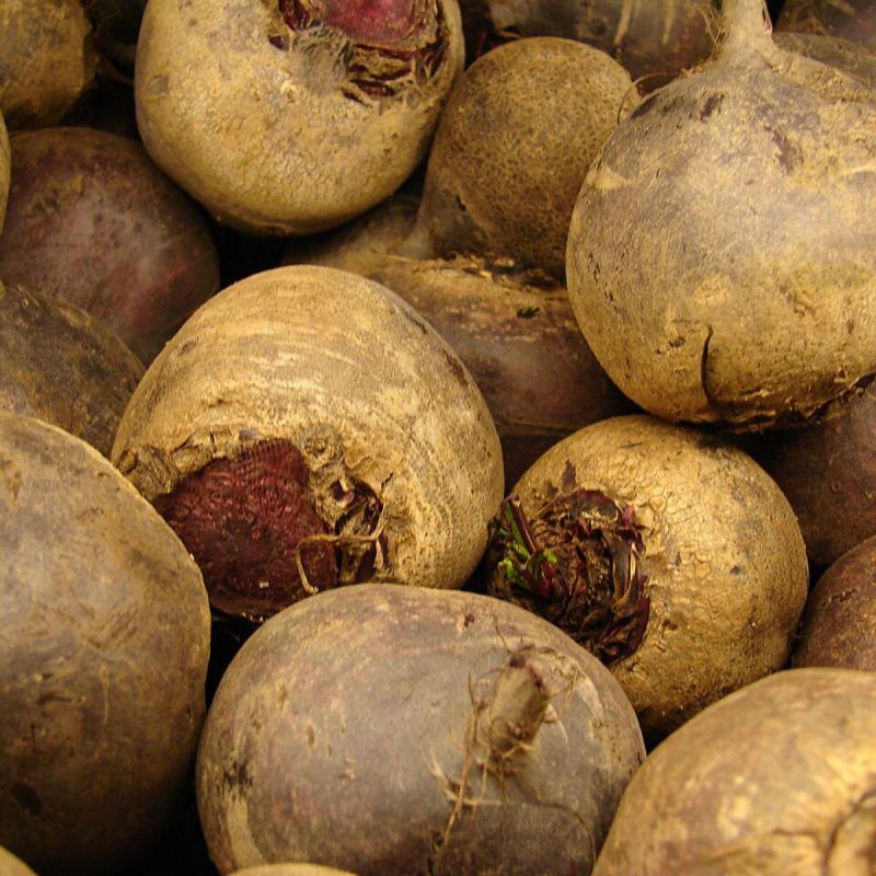 ������� ������� ������: ��� �������� ������ �����������