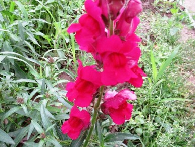 ��� ��������� ������� ���: ������� �������� ������� � ������