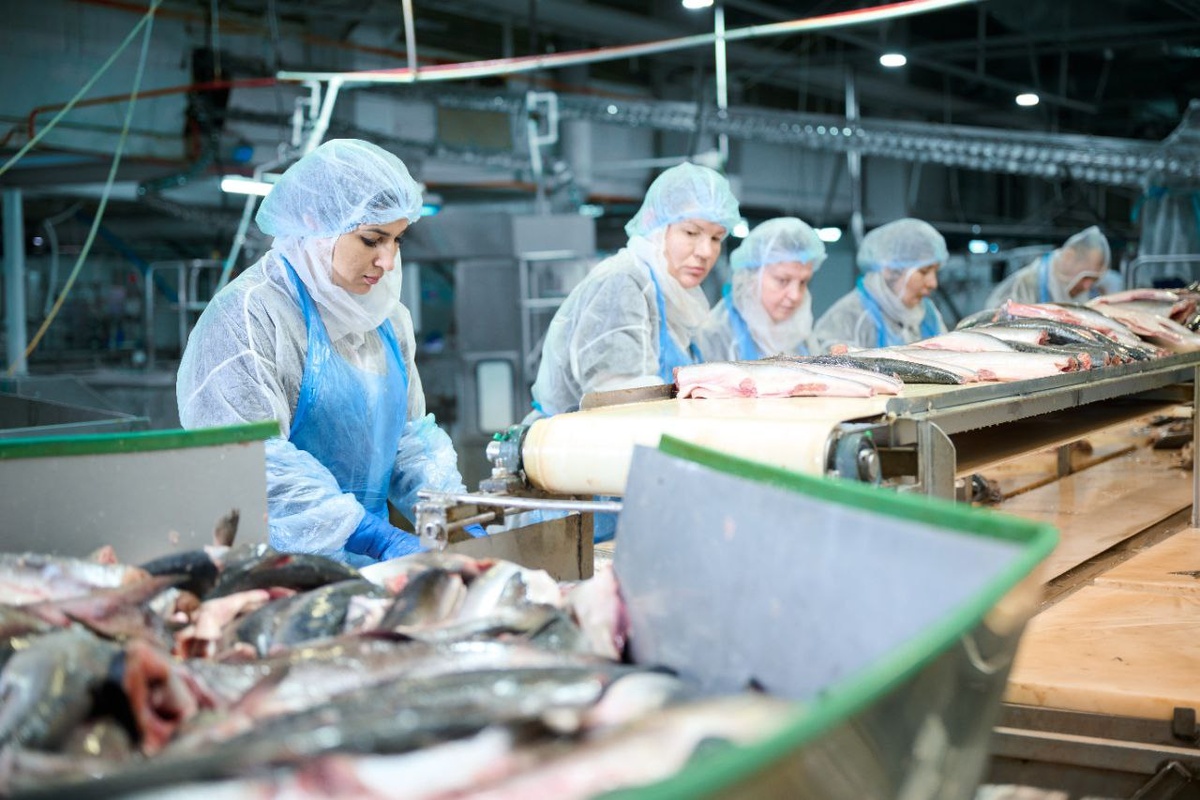 Интерес к профессиям в рыбном хозяйстве стремительно растет