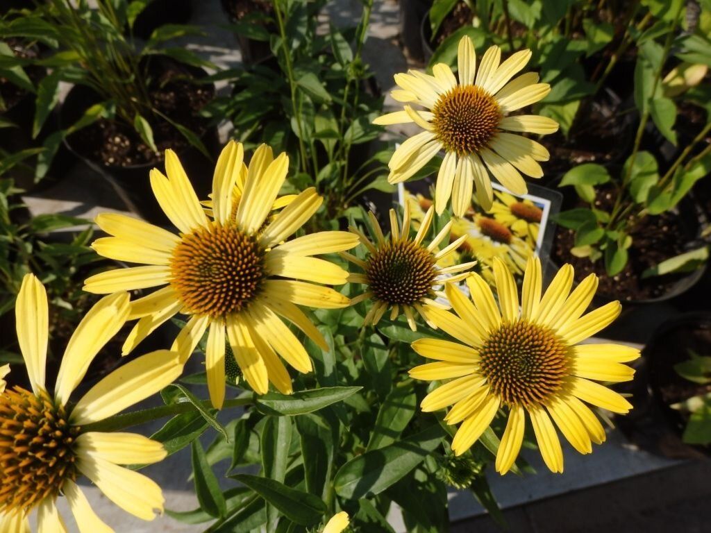 10 ������������ ���� ��� ������ � �������� �����: ��������� ���� ����������