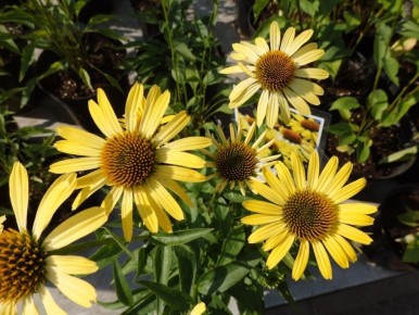 10 ������������ ���� ��� ������ � �������� �����: ��������� ���� ����������