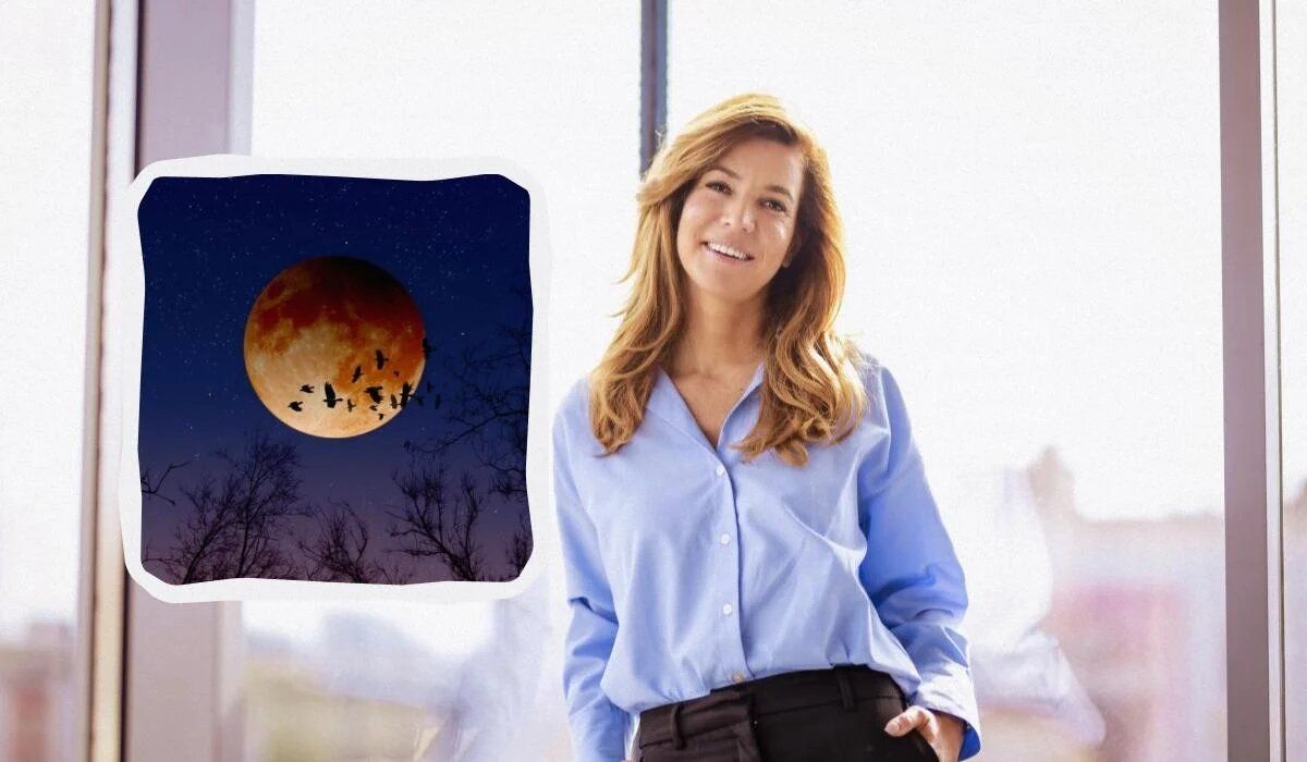 ����� ����� ������ � ������� ������: ������ ��������� ������� ���� ��� 2025