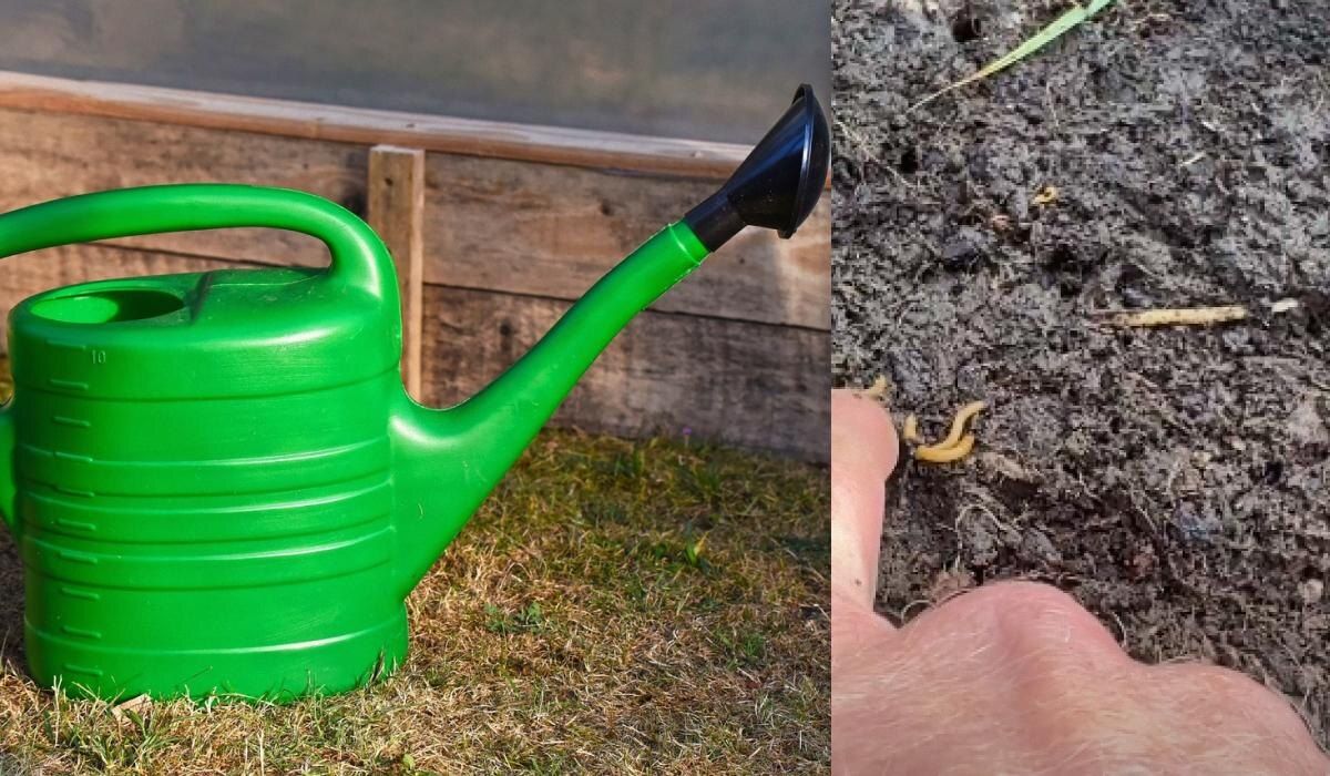 ����������� ������ ������ � ������������� ������: ������� ������ ��� ���������