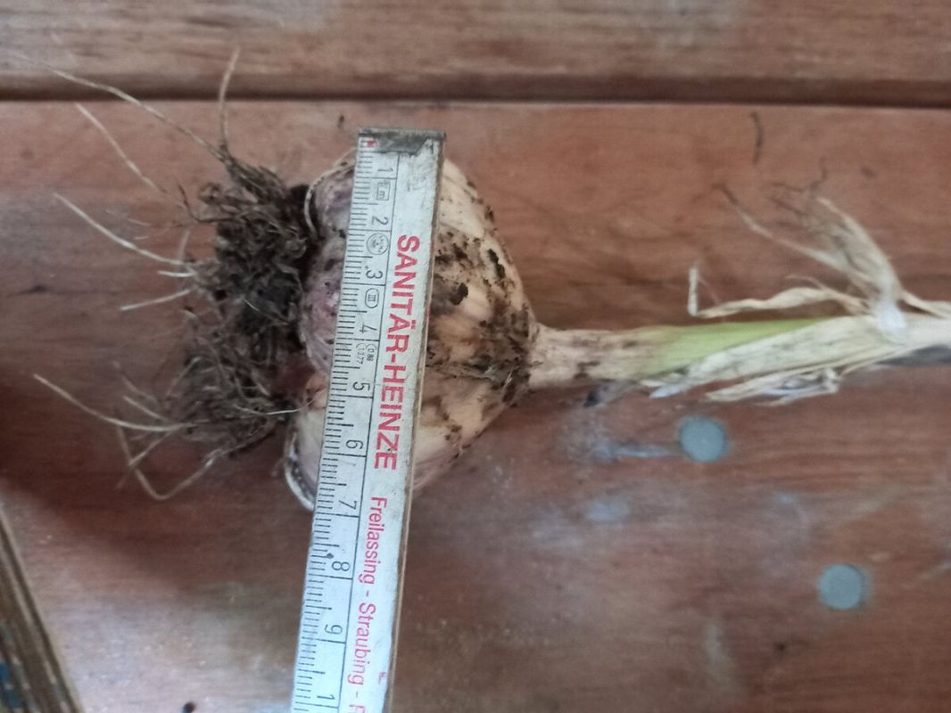 ��� ��������� �������� ������: ������� ��������� ������