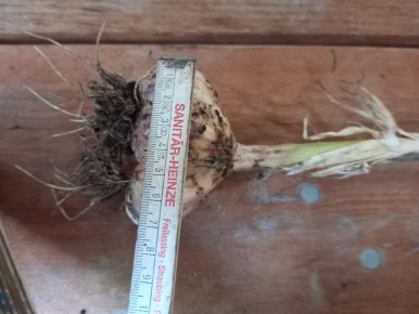 ��� ��������� �������� ������: ������� ��������� ������