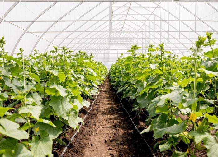 ������ �������� ��������� � ������� ����� ��� �������� ��������