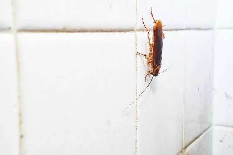 �������� ����� �������: ��� �������� ���� ��� �� ���������� ������