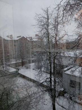 ������ ���� � ���������� ����: 12 ���� ���������