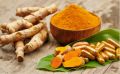 Куркума: полезные свойства и потенциальные риски