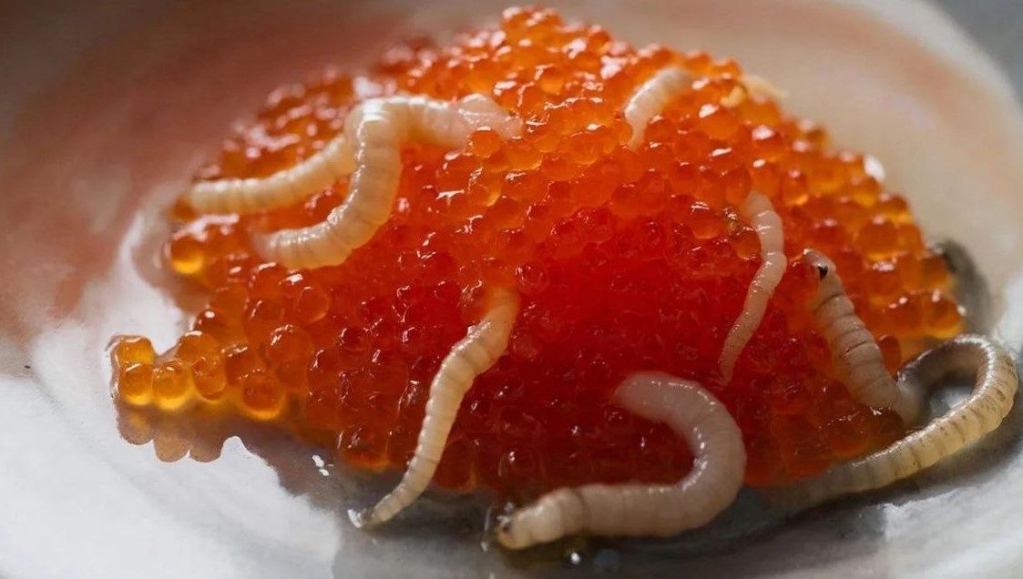 � ���� � ���� ��������� ������� ����� ������