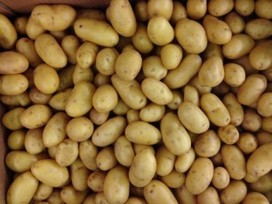 Почему картошка становится водянистой: ошибки, которых стоит избежать