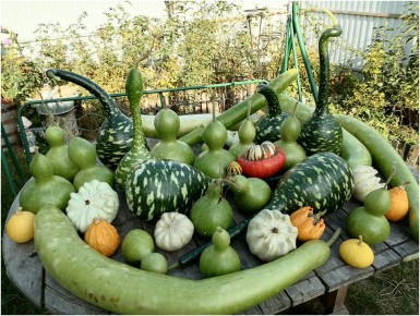 ���������: ���� � ������ � �����������