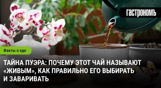 �������� ����� �����: ��� ������ ���� ��� ���������� � ��� ��� ��������� ����������