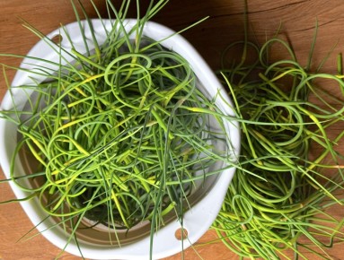 Как использовать чесночные стрелки: полезные идеи для заготовок