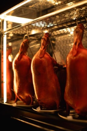 ���������������� ������ �� 8 �����: ��������� ������� ��������