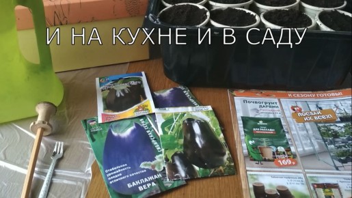 ������� ��������� ������ ���������� �� ������� ��� ���������