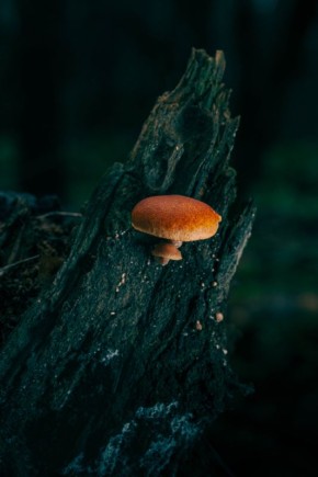 �������� ������ ������: ������������ � ����� � ������