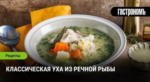 Как приготовить настоящую уху из речной рыбы