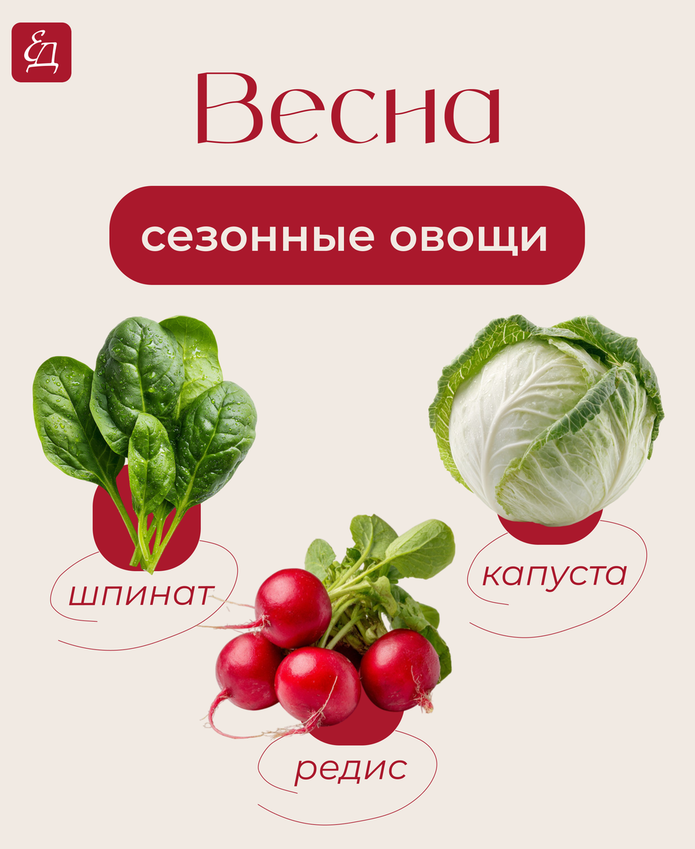 Весенние овощи: что стоит включить в рацион?