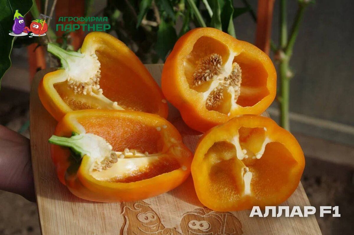 ��� ��������� ��������� ������: ���-5 �������� ������������� ������