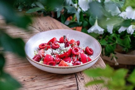 ��������� ��������� �����: ������, ������� � ������