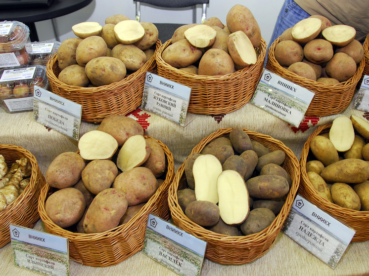 Как будет меняться цена на картошку весной 2026 года