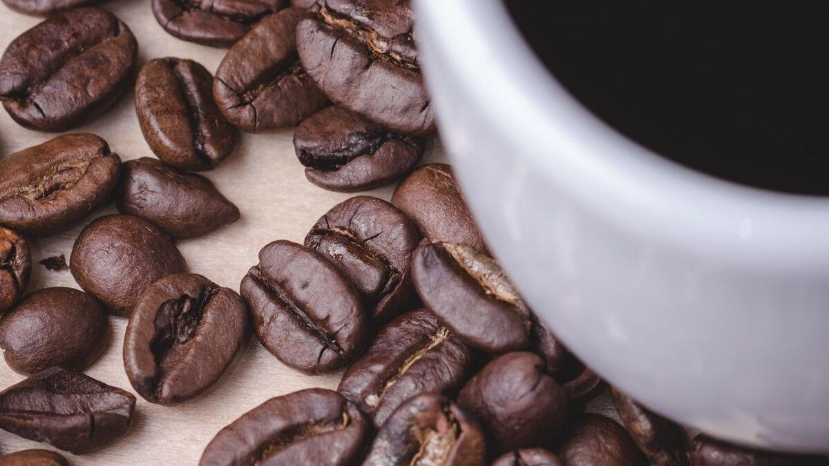 ������� ������ ��������� ���� � ������ �������