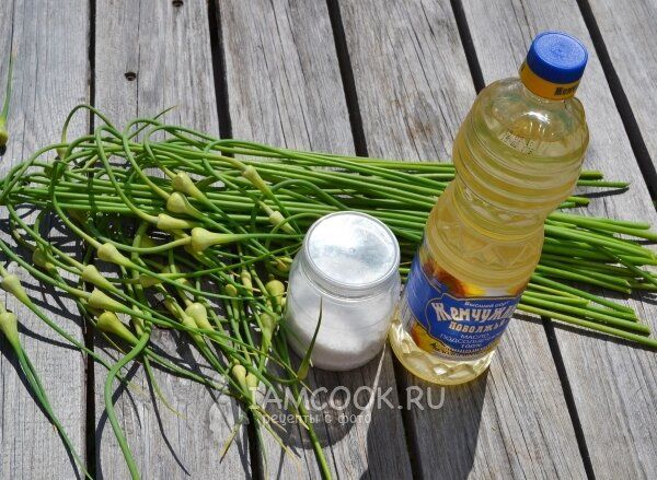 ����� �� ������� ������� �� ����: ����� ������ ��� ��������