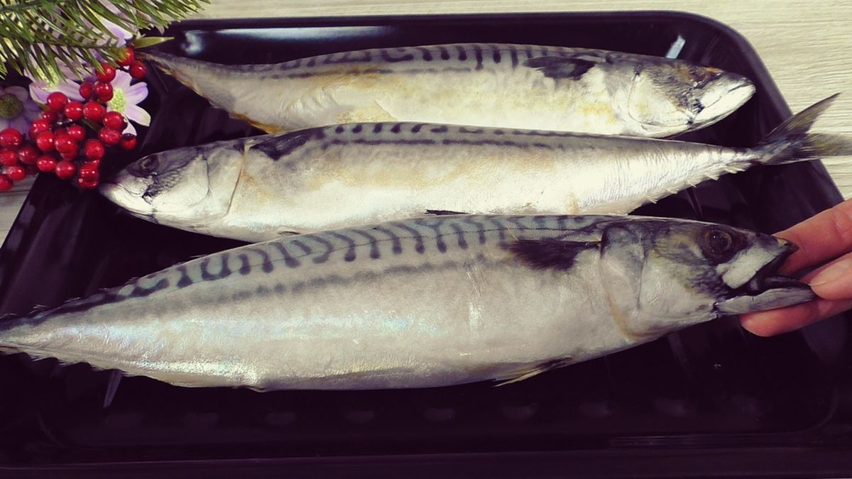 ������� �������� �����: ��� ����������� ���������� ������ �� ��������