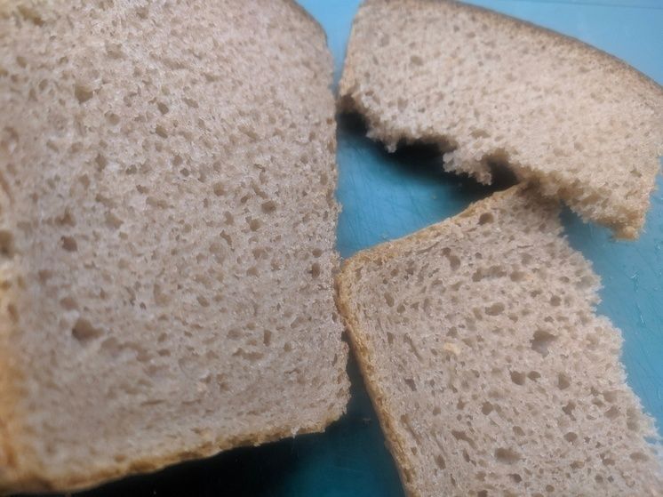 ��������� ����� 95 ����������� ����� � 2024 ����