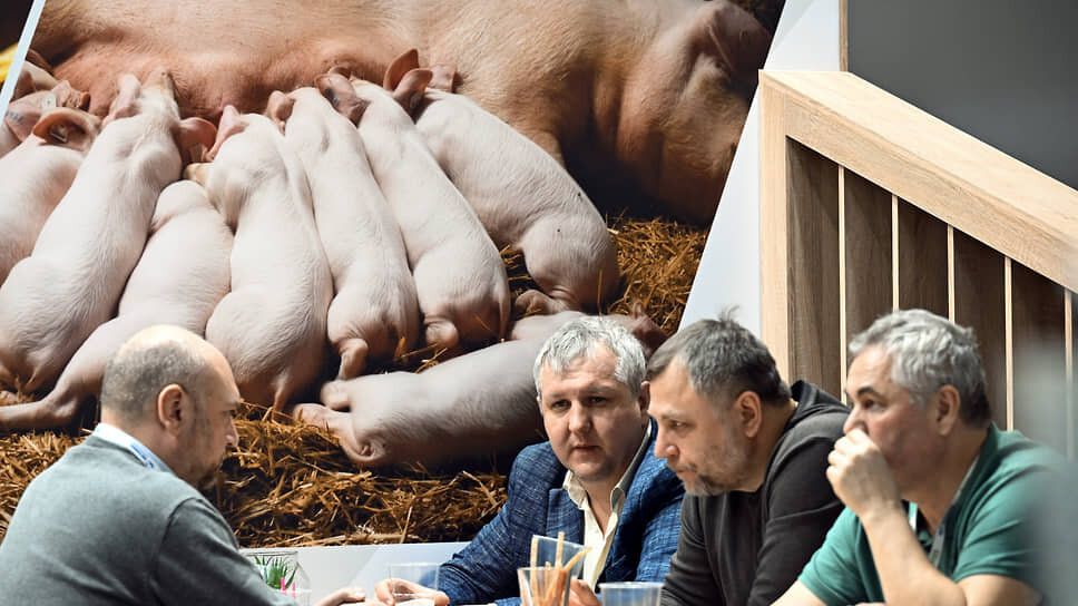 �������� ��� �� �������: ��� ��� ������ ��� �������������� � ������������?