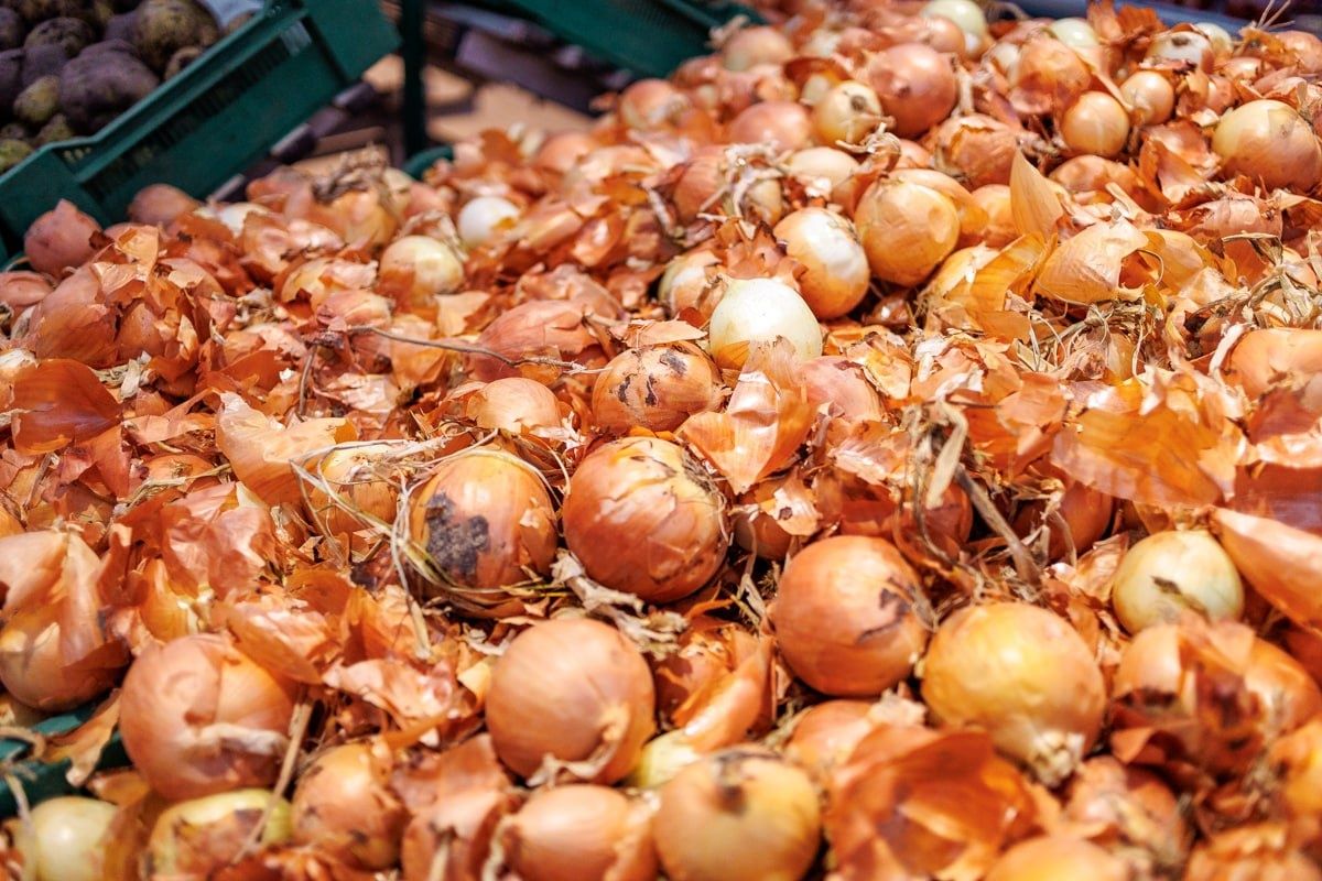 �� ����� ����� ��������� 165 ���� ��������������� ������ � �������