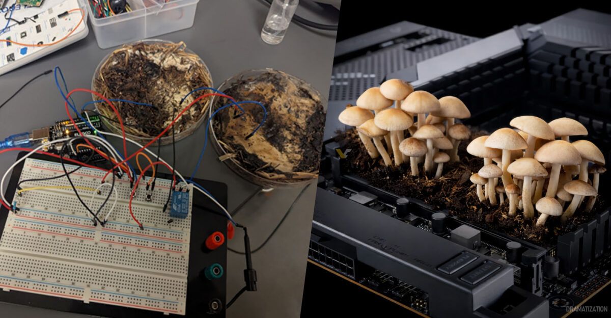 ����� ������ ������: ������������� ����������� ������ ��������� ����� ���������