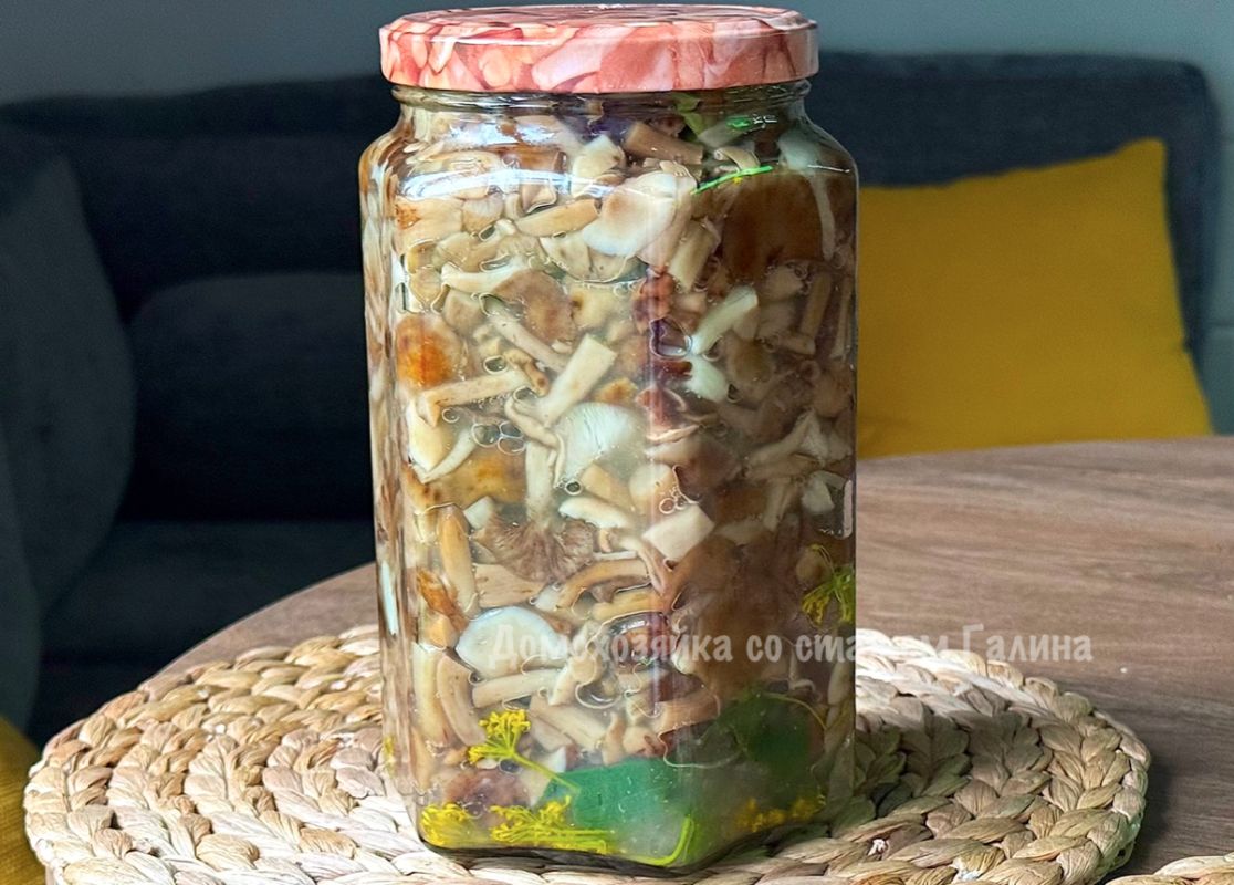 ��� ��������� ������ �����: ������� �������� ������