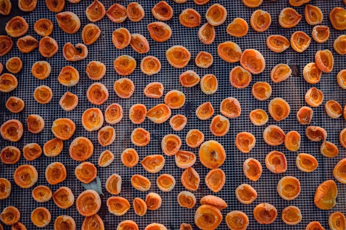 ����: ����������� ������������ � ���������������