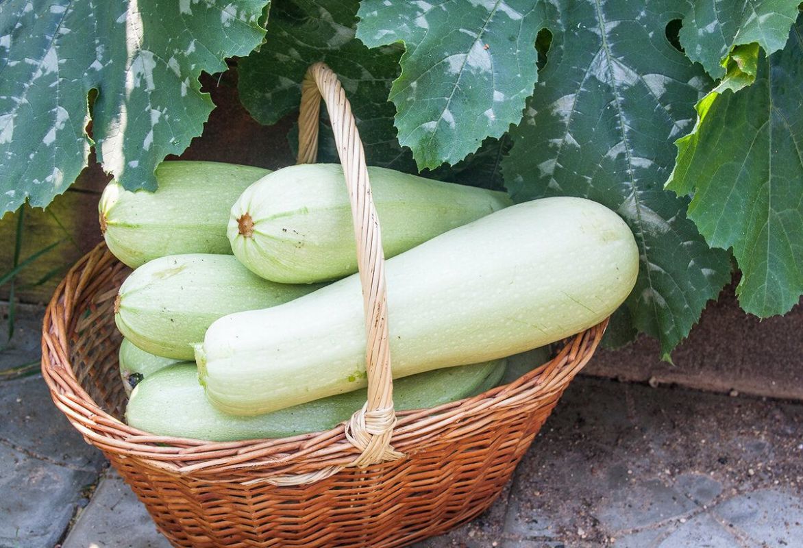 ������� ��� ��������� ������ ����: 8 ����������� �����������