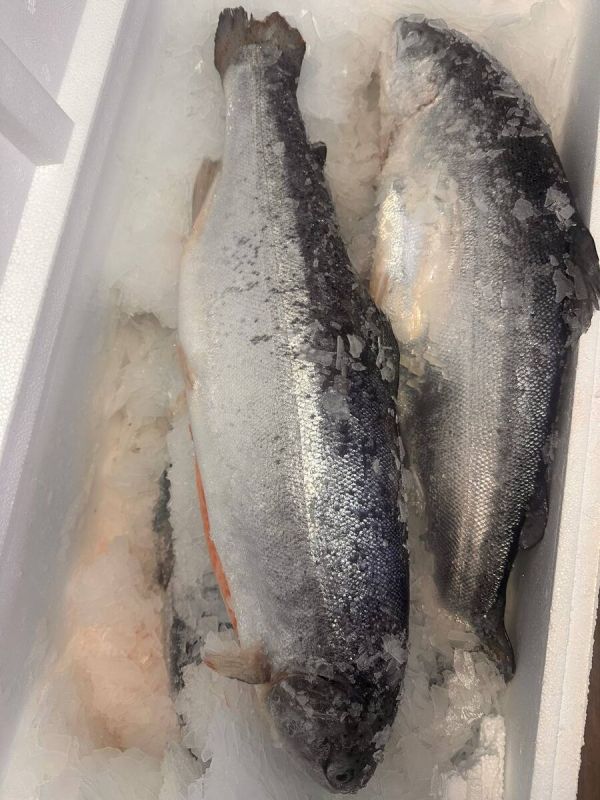 ��������, �������!