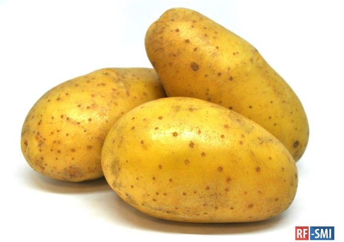 ��������� ����: ��������� ����� ��� ������ ���������� ������