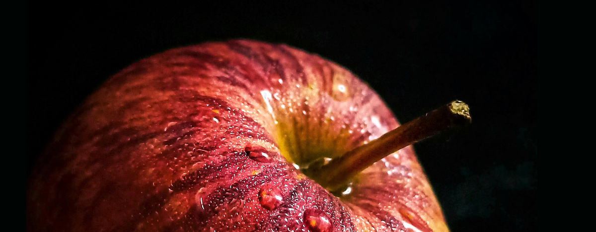 Как выбрать идеальный кальвадос: от нормандского солнца до вашего стола