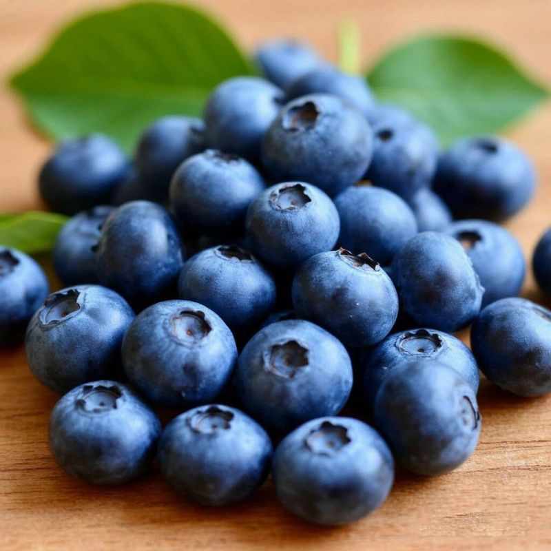 ����� � ����������: ��������� ����� �� �������