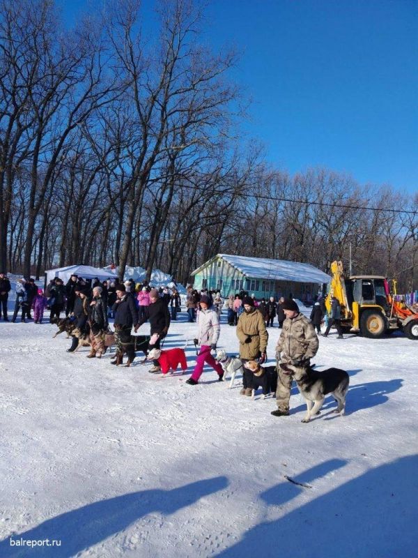 ��������� � ���������: ����������� ���������� ��������� ���� � ��������