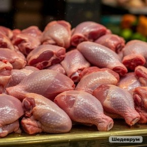 ��� ������� ��������� ������� ����� ��� ������ �����