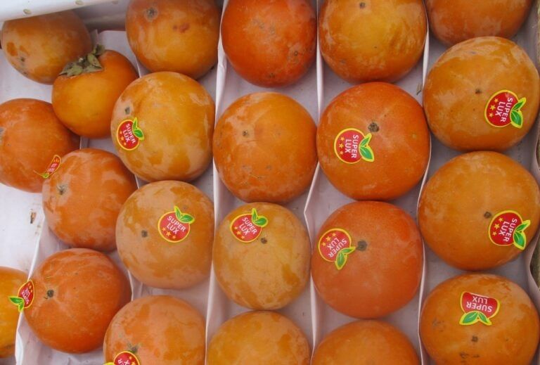 � ���������� ������������� ���� ��������� ����� �� �����������