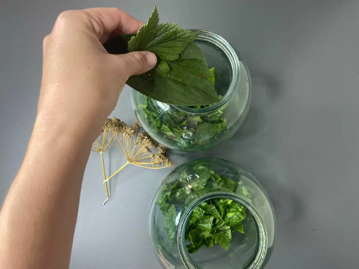 Вкуснейшие помидоры на зиму: секреты от опытной хозяйки