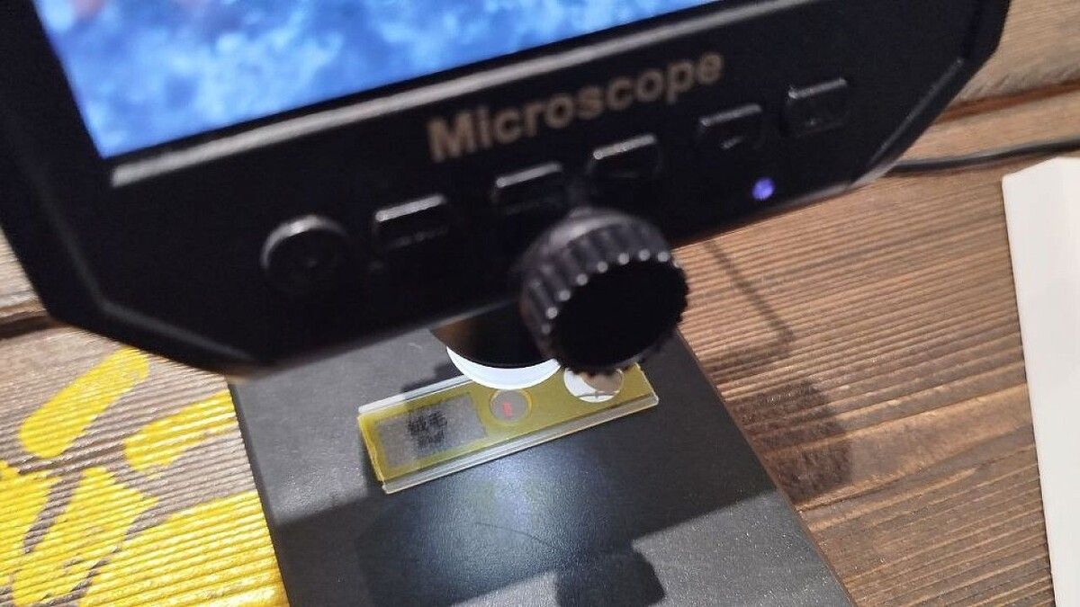 ������������ ���������� �������� ������: ��������� ���������� ������������ �� �����